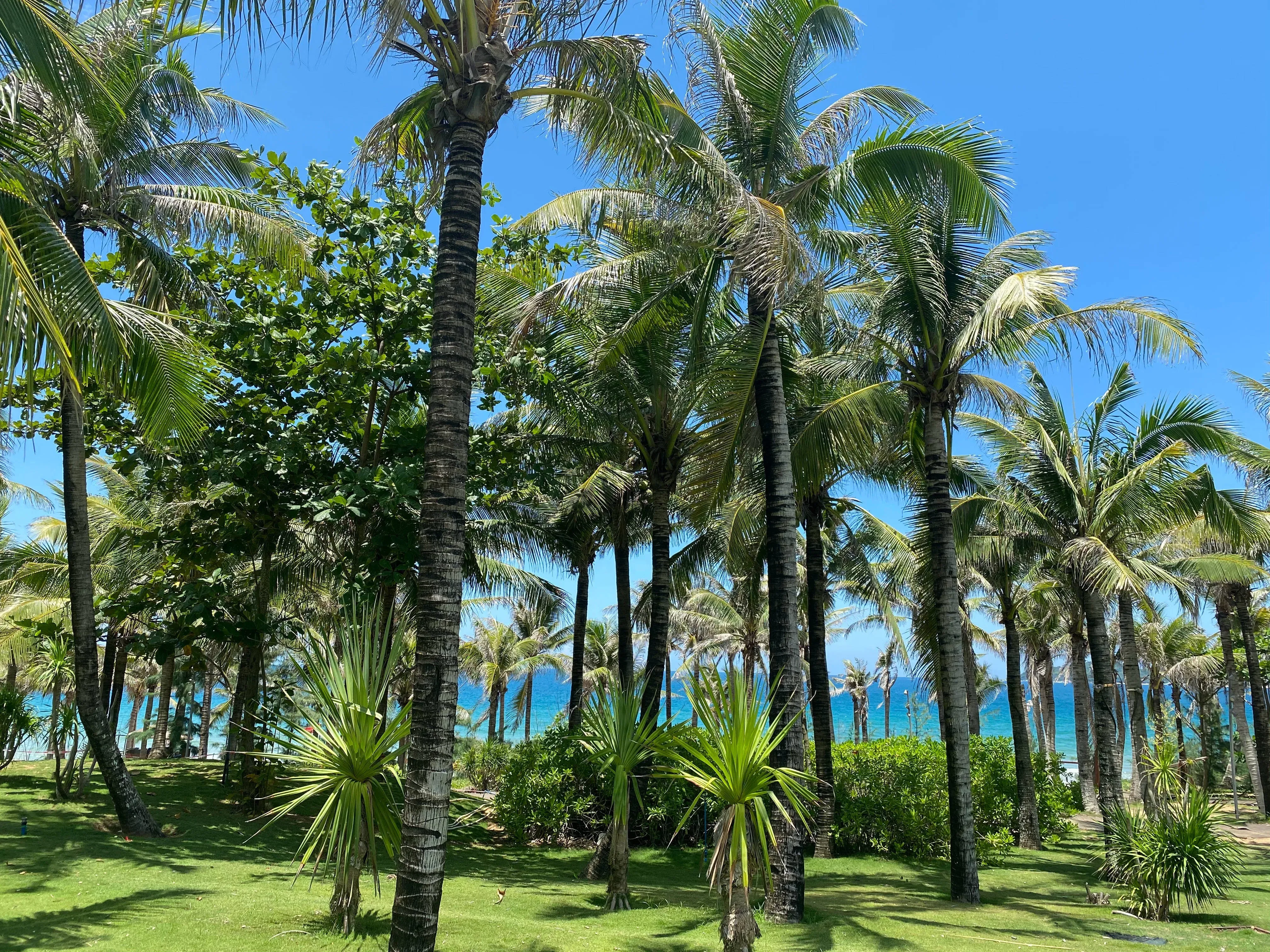 c10f0b6d22cc67313ce20cc622ad4029 2.JPG